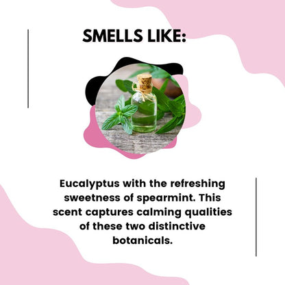 Eucalyptus Mint Car Diffuser - Car Freshener