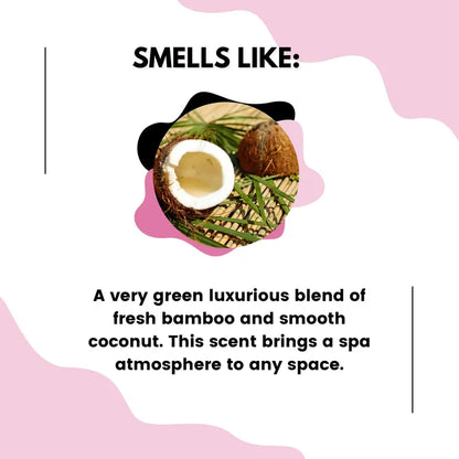 Bamboo Coconut Car Diffuser - Car Freshener